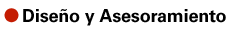 DISEÑO Y ASESORAMIENTO
