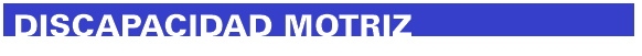DISCAPACIDAD MOTRIZ